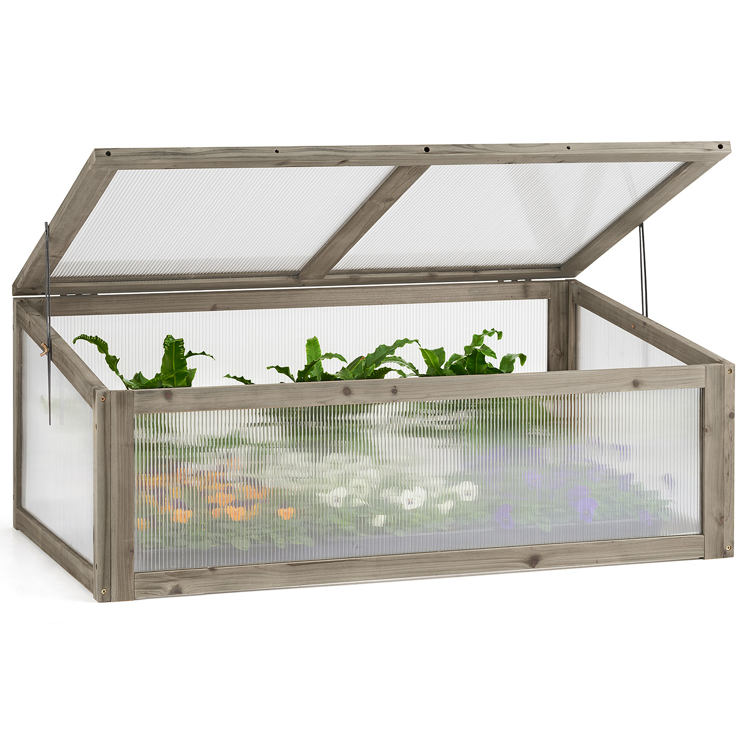 Small Cold Frame Greenhouse