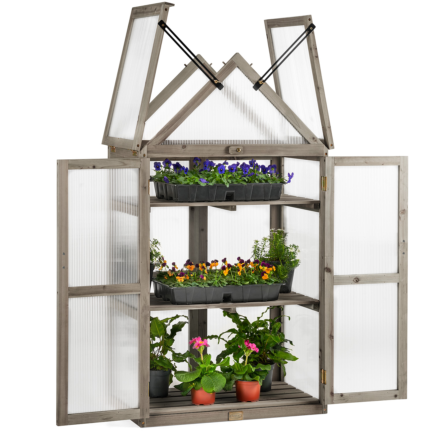 Tall Cold Frame Greenhouse