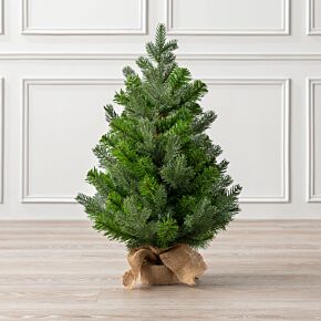 2ft Spruce Christmas Tree