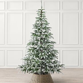 Christow Alpine Fir Christmas Tree 