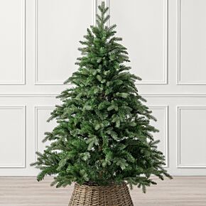 Christow Fraser Fir Christmas Tree  1.5