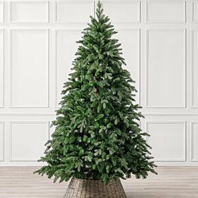 Christow Fraser Fir Christmas Tree  