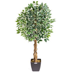 Christow Artificial Variegated Ficus Tree 120cm