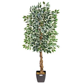 Christow Artificial Variegated Ficus Tree 150cm