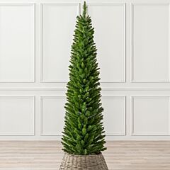 Spruce Pencil Tree (6ft)