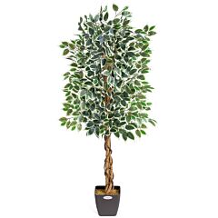 Christow Artificial Variegated Ficus Tree 